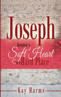 Joseph - Keeping a Soft Heart in a Hard Place