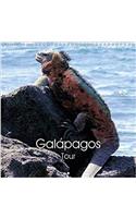 Galapagos Tour 2017