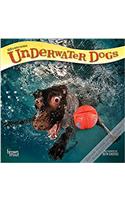 Underwater Dogs 2018 Calendar