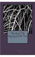 The Seed, The Sapling and the Tree