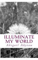 Illuminate my World