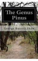 Genus Pinus