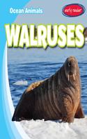 Walruses