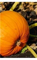 Pumpkin on the Vine Journal: 150 Page Lined Notebook/Diary(English)