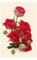 Red Roses