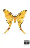 Write Here Notebooks: Butterfly Notebook / Journal 100 Pages of Lined Paper 6"x9" with Glossy Finish Lined Composition Book Long Yellow Wing Butterfly