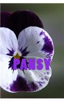 Pansy: Stylish Journal / Notebook 150 Lined Pages