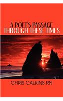 A Poet's Passage Through These Times