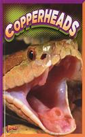 Copperheads