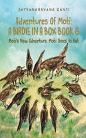 Adventures Of Moti A Birdie In A Box Book 6