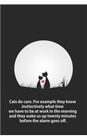 Cats do care. For example they know instinctively what time we have to be at work in the morning