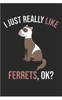 I Just Really Like Ferrets, OK?: DIN A5 Frettchen Notizheft - 120 Seiten kariertes Frettchen Notizbuch für Notizen in Schule, Universität, Arbeit oder zuhause. - Eine tolles Geschen