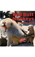 Red Butt Monkeys Calendar 2020
