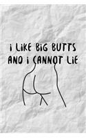 I Like Big Butts And I Cannot Lie
