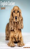 English Cocker Spaniel 2021 Wall Calendar