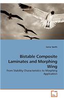 Bistable Composite Laminates and Morphing Wing