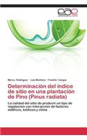 Determinación del índice de sitio en una plantación de Pino (Pinus radiata)