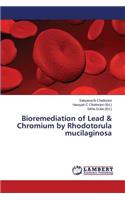 Bioremediation of Lead & Chromium by Rhodotorula mucilaginosa