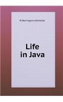 Life in Java