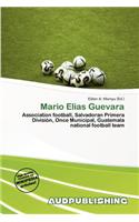 Mario Elias Guevara: (English)