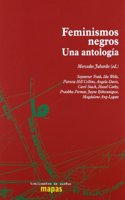 Feminismos s : una antologia
