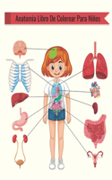 Anatomia Libro De Colorear Para Niños