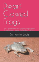 Dwarf Clawed Frogs