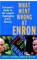 What Went Wrong at Enron: Everyone's Guide to the Largest Bankruptcy in U.S.History