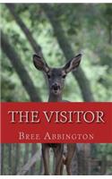 Visitor