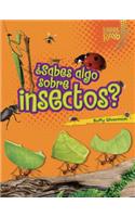 ¿Sabes algo sobre insectos? (Do You Know about Insects?)