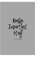 'Really Important Stuff' notebook: Grey slogan paperback lined jotter