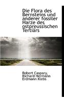 Die Flora Des Bernsteins Und Anderer Fossiler Harze Des Ostpreussischen Tertiars