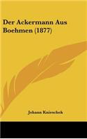 Der Ackermann Aus Boehmen (1877)