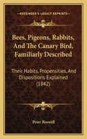 Bees, Pigeons, Rabbits, And The Canary Bird, Familiarly Described