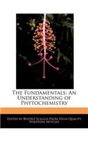 The Fundamentals: An Understanding of Phytochemistry