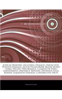 Articles on Judicial Remedies, Including: Damages, Injunction, Punitive Damages, Anton Piller Order, Blood Money (Term), Specific Performance, Clameur de Haro, Garnishment, Grievance, Replev