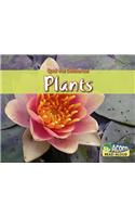 Plants