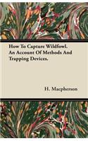 How to Capture Wildfowl. an Account of Methods and Trapping Devices.