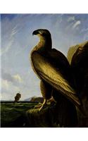Washington Sea Eagle, John James Audubon. Ruled Journal: 150 Lined / Ruled Pages, 8,5x11 Inch (21.59 X 27.94 CM) Laminated