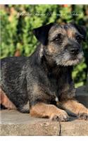 Border Terrier November Notebook Border Terrier Record, Log, Diary, Special Memories, To Do List, Academic Notepad, Scrapbook & More