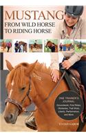 Mustang: From Wild Horse to Riding Horse