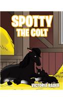 Spotty The Colt