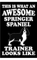 This is what an awesome Springer Spaniel Trainer Looks Like