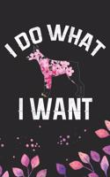 I Do What I want