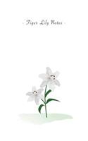 Tiger Lily Notes: 6"x9" Ruled Lined Notebook - Watercolor Texture Botanic Flower Illustration Cover. Matte Softcover And White Interior Papers.