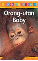 Orang-utan Baby: Blue Level