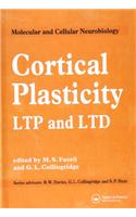 Cortical Plasticity