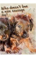 Who doesn't like a nice sausage dog?