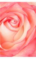 Rose Notes: Wide Ruled, Blank Notebook, Pocket Size, Glossy Cover Design on Front and Back, 6 X 9 Inches