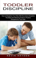 Toddler Discipline